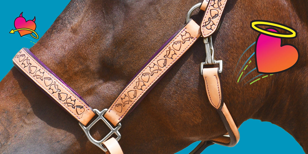 A close-up of a horse wearing a tan leather halter with engraved heart patterns and silver metal hardware, set against a bright blue background with decorative heart-and-halo/devil horn graphics.