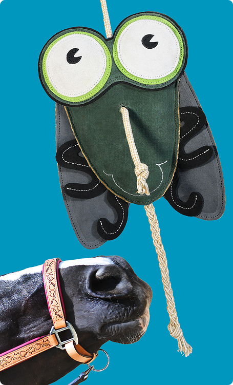 A green and black Shoofly equine boredom buster toy hanging, with large cartoon eyes, shown above a close-up of a horse's nose and mouth wearing a Raspberry pink and Tan halter against a bright blue background.