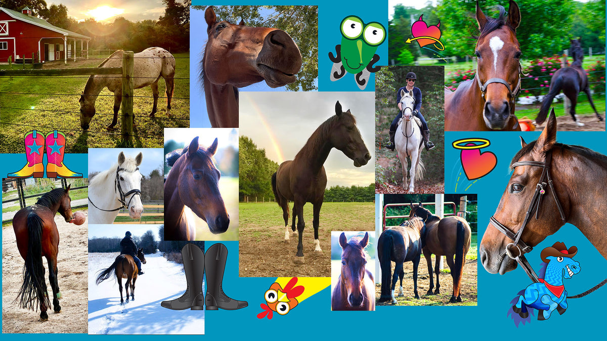 A collage of multiple horse-themed photos and graphics on a bright blue background, including several close-up horse portraits, a horse in a barn, riders on horseback, boots, tall boots, and cartoon-style horse illustrations.