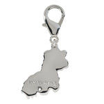 Back view of the Wiskadero Barrel Buddy bridle charm showcasing a polished silver-toned finish with the engraved Wiskadero logo, a clear faceted cubic zirconia accent stone set below the TM mark, and a top silver lobster clasp.