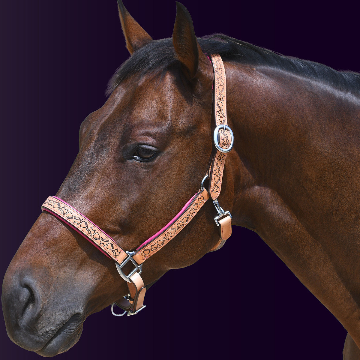 Left side profile of a bay horse wearing the Wiskadero Halo and Horns padded leather halter in tan saddle leather with vibrant raspberry/pink padding and polished chrome hardware against a dark purple background.