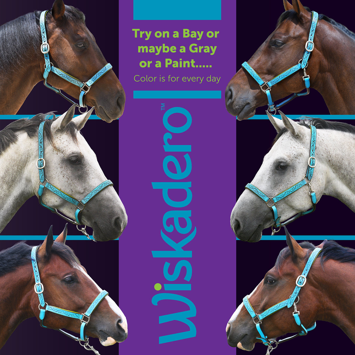 Collage showing six different horses, bay, gray, and paint, wearing the Wiskadero Halo and Horns padded leather halter in Turquoise and Lime Green.  A central purple banner displays the vertical Wiskadero logo and text reading "Try on a Bay or maybe a Gray or a Paint... Color is for every day."