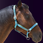Right side profile of a bay horse wearing the Wiskadero Halo and Horns padded leather halter in turquoise blue leather with vibrant lime green padding and polished chrome hardware against a dark purple background.
