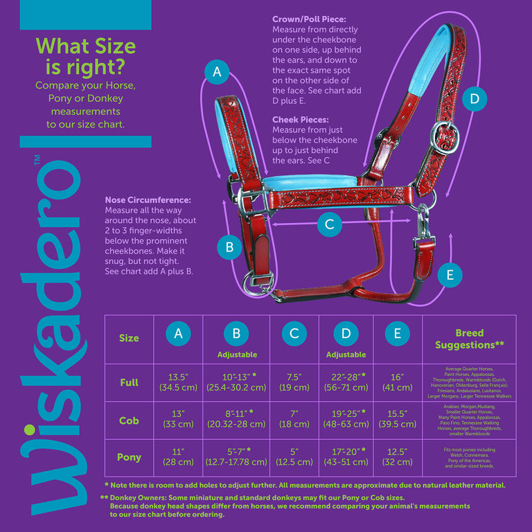 Wiskadero halter sizing chart diagram showing visual reference for measurement points. Chart information can also be found in tab of additional  size information under size guide icon for text only of visual chart.