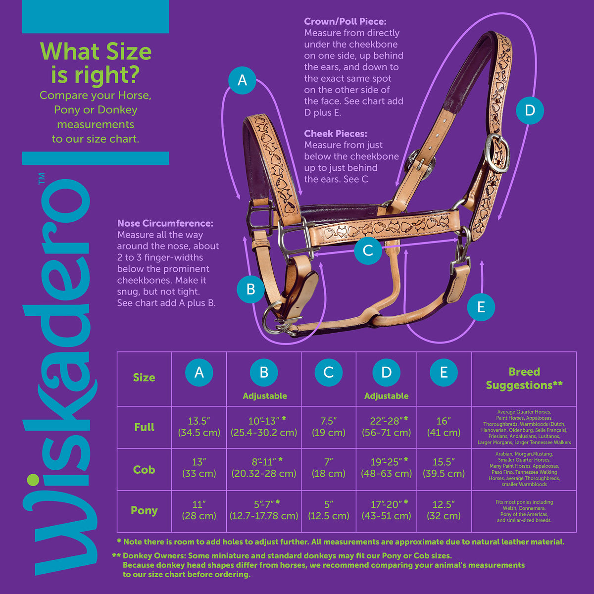 Wiskadero halter sizing chart diagram showing visual reference for measurement points. Contains chart of information found in tab of additional  size information under size guide.
