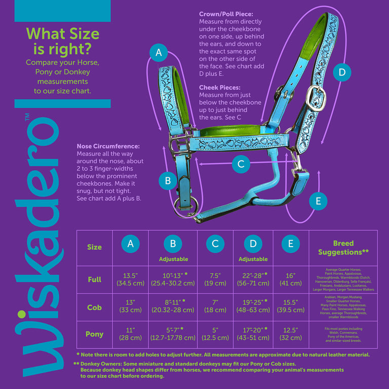 Wiskadero halter sizing chart diagram showing visual reference for measurement points. Chart information can also be found in tab of additional  size information under size guide icon for text only of visual chart.
