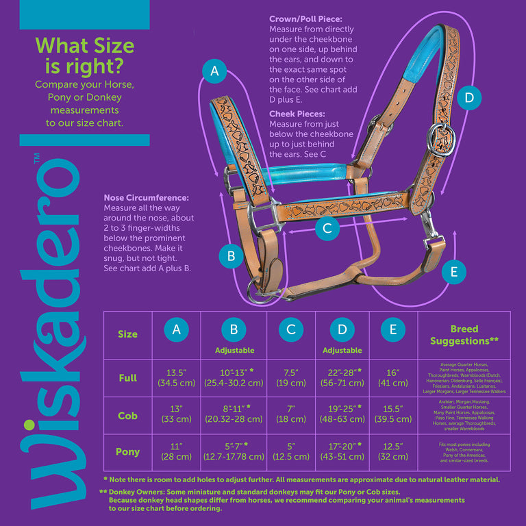 Wiskadero halter sizing chart diagram showing visual reference for measurement points. Chart information can also be found in tab of additional size information under size guide icon for text only of visual chart.
