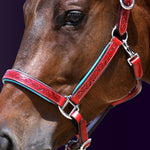 Close-up detail view of a bay horse wearing the Wiskadero Halo and Horns padded halter, showing the deeply tooled halo, horn, and heart motifs on red leather, vibrant light blue padded lining, and polished chrome hardware against a dark purple background.