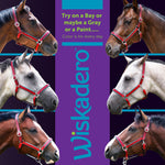 Collage showing six different horses, bay, gray, and paint, wearing the Wiskadero Halo and Horns padded leather halter in Red and Turquoise.  A central purple banner displays the vertical Wiskadero logo and text reading "Try on a Bay or maybe a Gray or a Paint... Color is for every day."