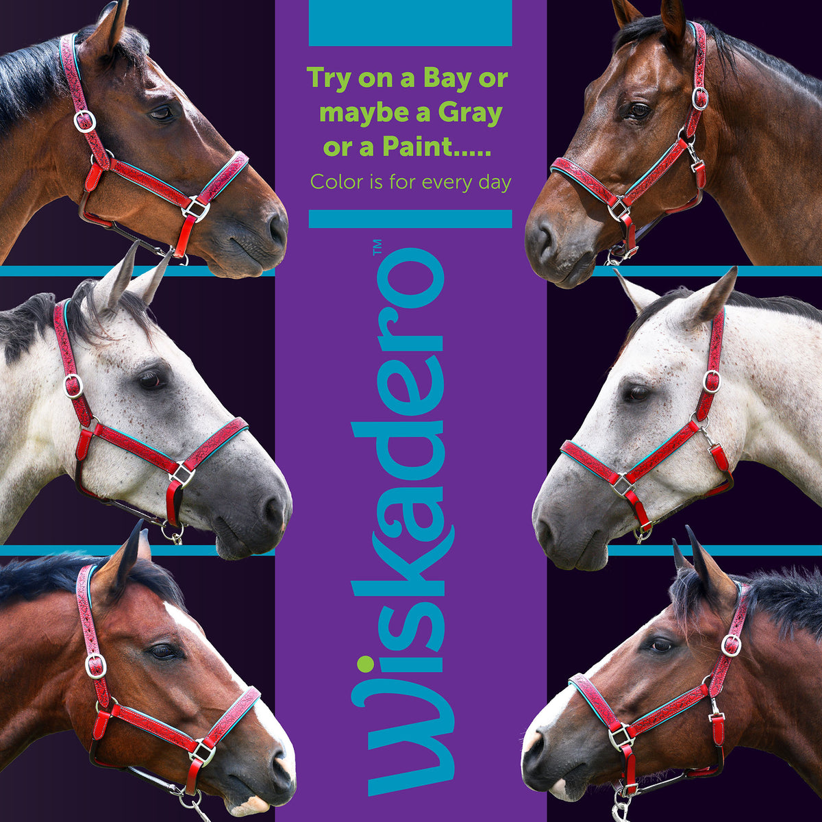 Collage showing six different horses, bay, gray, and paint, wearing the Wiskadero Halo and Horns padded leather halter in Red and Turquoise.  A central purple banner displays the vertical Wiskadero logo and text reading "Try on a Bay or maybe a Gray or a Paint... Color is for every day."