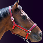 Right side profile of a bay horse wearing the Wiskadero Halo and Horns padded leather halter in red leather with vibrant light blue padding and polished chrome hardware against a dark purple background.