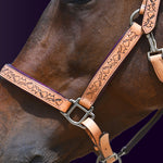 Close-up detail view of a bay horse wearing the Wiskadero Halo and Horns padded halter, showing the deeply tooled halo, horn, and heart motifs on tan saddle leather, deep eggplant purple padded lining, and polished chrome hardware against a dark purple background.