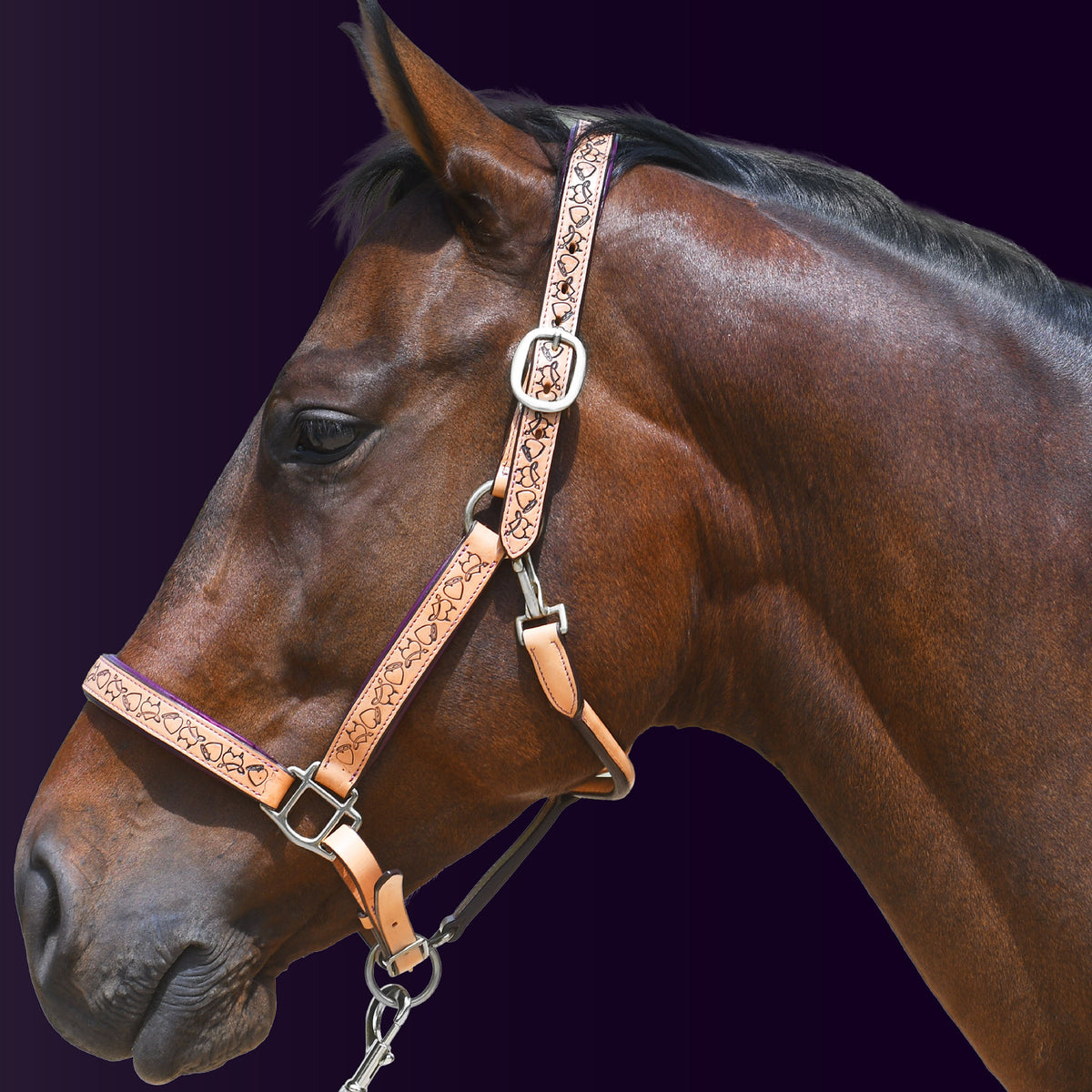 Left side profile of a bay horse wearing the Wiskadero Halo and Horns padded leather halter in tan saddle leather with deep eggplant purple padding and polished chrome hardware against a dark purple background.