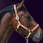 Right side profile of a bay horse wearing the Wiskadero Halo and Horns padded leather halter in tan saddle leather with deep eggplant purple padding and polished chrome hardware against a dark purple background.