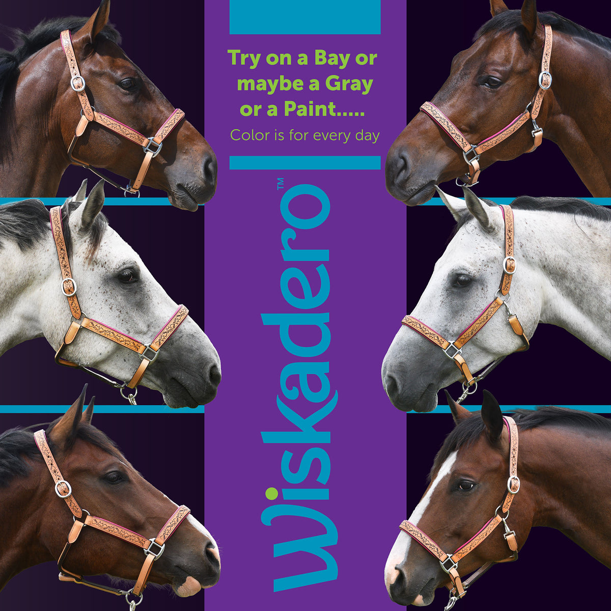 Collage showing six different horses, bay, gray, and paint, wearing the Wiskadero Halo and Horns padded leather halter in Tan and Raspberry/pink.  A central purple banner displays the vertical Wiskadero logo and text reading "Try on a Bay or maybe a Gray or a Paint... Color is for every day."