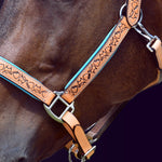 Close-up detail view of a bay horse wearing the Wiskadero Halo and Horns padded halter, showing the deeply tooled halo, horn, and heart motifs on tan saddle leather, vibrant turquoise blue padded lining, and polished chrome hardware against a dark purple background.