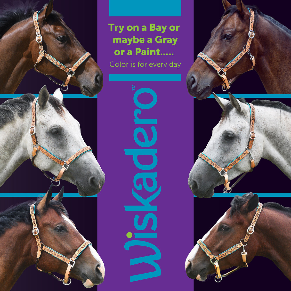 Collage showing six different horses, bay, gray, and paint, wearing the Wiskadero Halo and Horns padded leather halter in Tan and Turquoise.  A central purple banner displays the vertical Wiskadero logo and text reading "Try on a Bay or maybe a Gray or a Paint... Color is for every day."