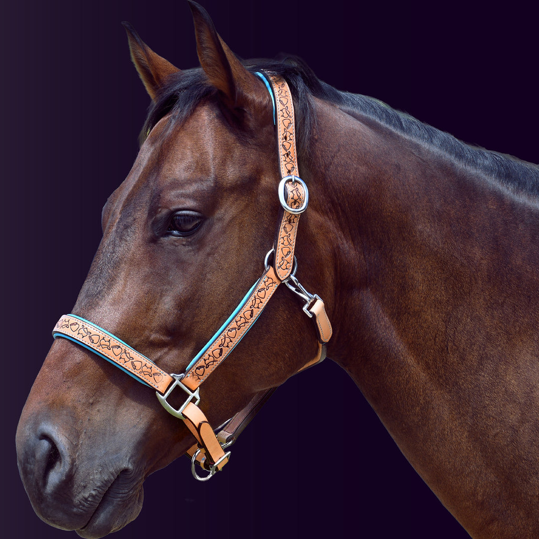 Left side profile of a bay horse wearing the Wiskadero Halo and Horns padded leather halter in tan saddle leather with vibrant turquoise blue padding and polished chrome hardware against a dark purple background.