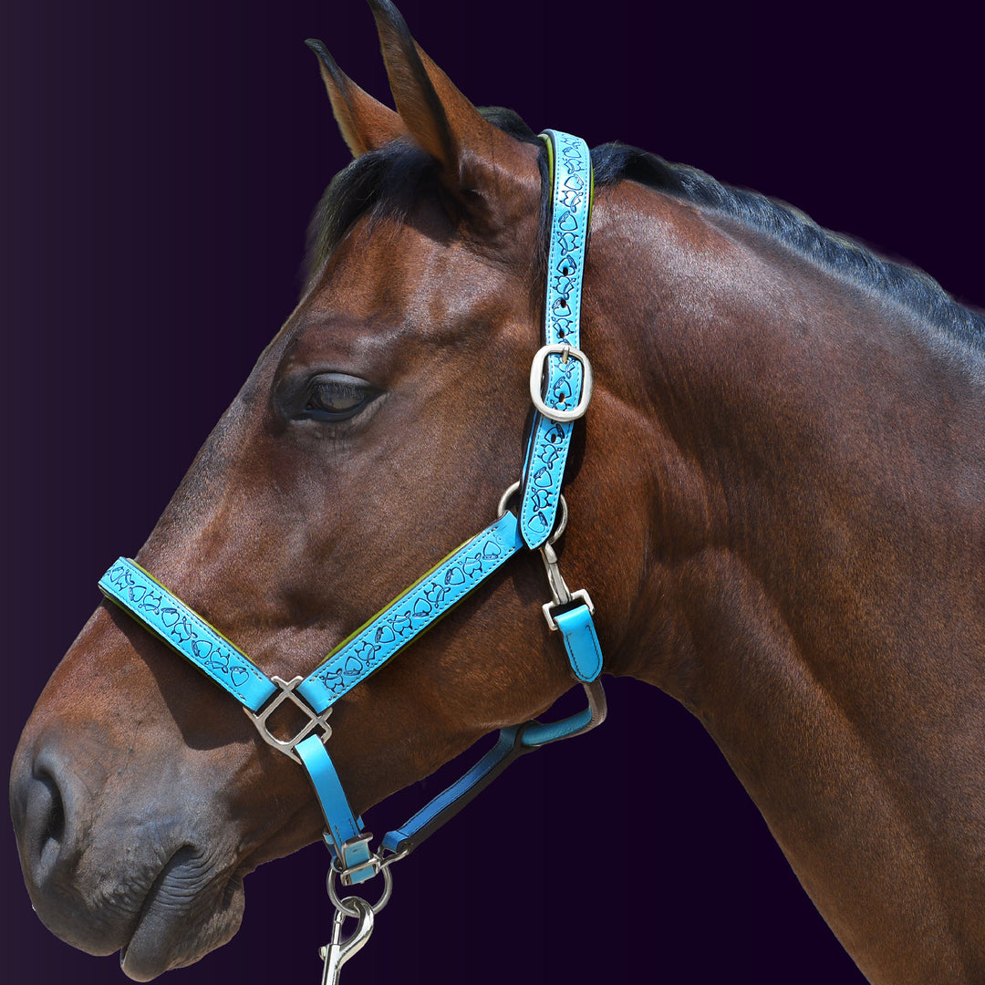 Left side profile of a bay horse wearing the Wiskadero Halo and Horns padded leather halter in turquoise blue leather with vibrant lime green padding and polished chrome hardware against a dark purple background.