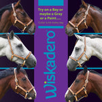 Collage showing six different horses, bay, gray, and paint, wearing the Wiskadero Halo and Horns padded leather halter in Tan and Eggplant/Purple.  A central purple banner displays the vertical Wiskadero logo and text reading "Try on a Bay or maybe a Gray or a Paint... Color is for every day."