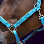 Close-up detail view of a bay horse wearing the Wiskadero Halo and Horns padded halter, showing the deeply tooled halo, horn, and heart motifs on turquoise blue leather, vibrant lime green padded lining, and polished chrome hardware against a dark purple background.