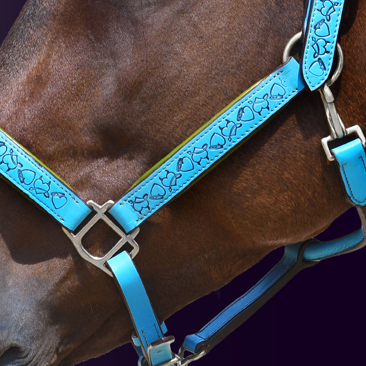 Close-up detail view of a bay horse wearing the Wiskadero Halo and Horns padded halter, showing the deeply tooled halo, horn, and heart motifs on turquoise blue leather, vibrant lime green padded lining, and polished chrome hardware against a dark purple background.